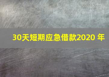 30天短期应急借款2020 年